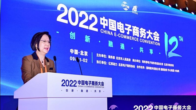 以下为几个成功申报电商孵化项目的企业案例，供参考：