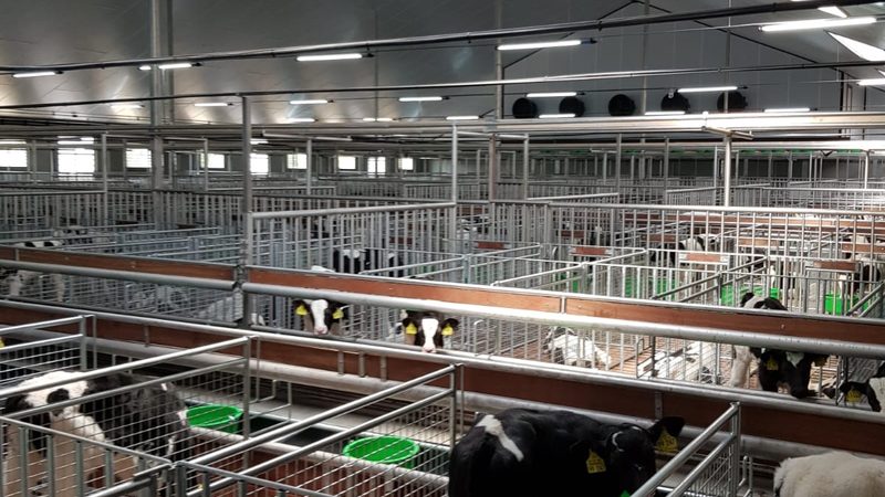 WordPress独立站多语言插件：助力跨境电商的利器