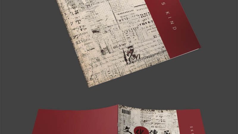 跨境电商与国内电商：运营差异解析